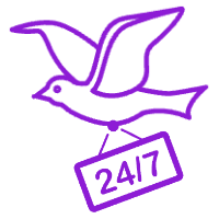 Dove with sign 24/7